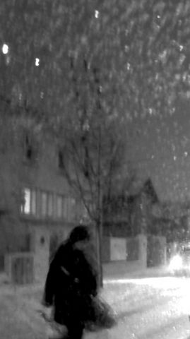 seul dans la neige